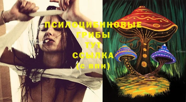 крисы Няндома